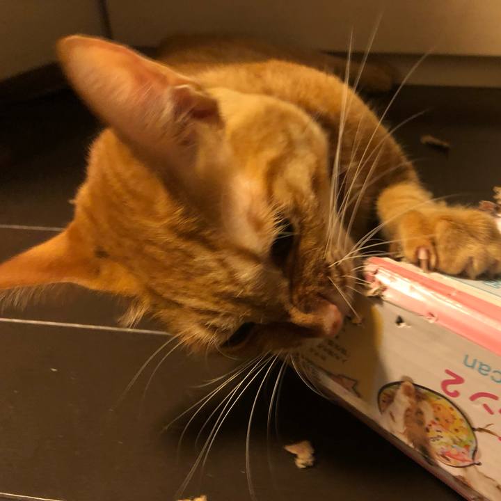 515f2acf 8f87 42f9 b85a cd4ffd6757c3 1634500620464