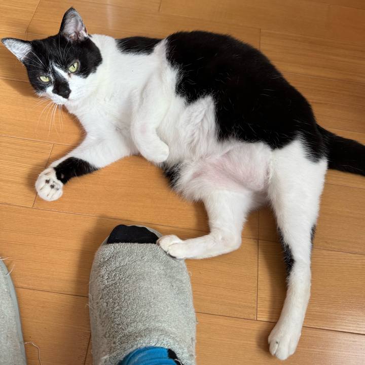 515f42bb 244d 487c b125 1d3fdeaa4f3d 1759631013202