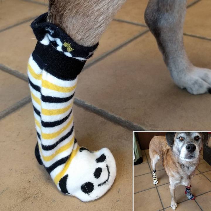 515f44ee ede0 4382 9134 86b0ef1c0d53 1542780073974