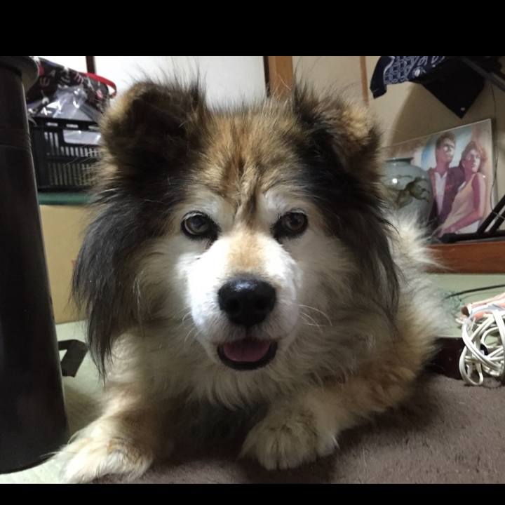 515f4954 20c5 4731 b6ec 36caea216720 1593471158429