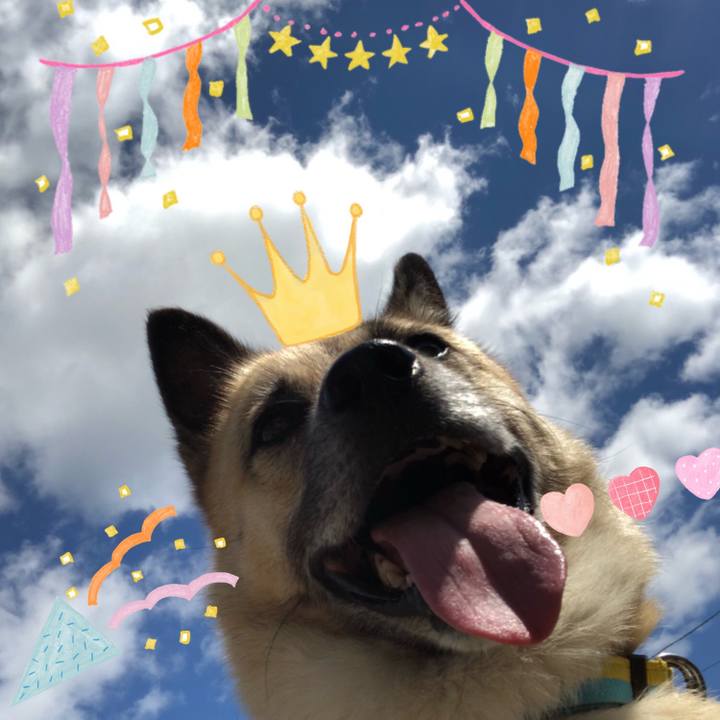 515f6c95 320b 4f84 9eb3 67f2c2fe60fd 1633088039076