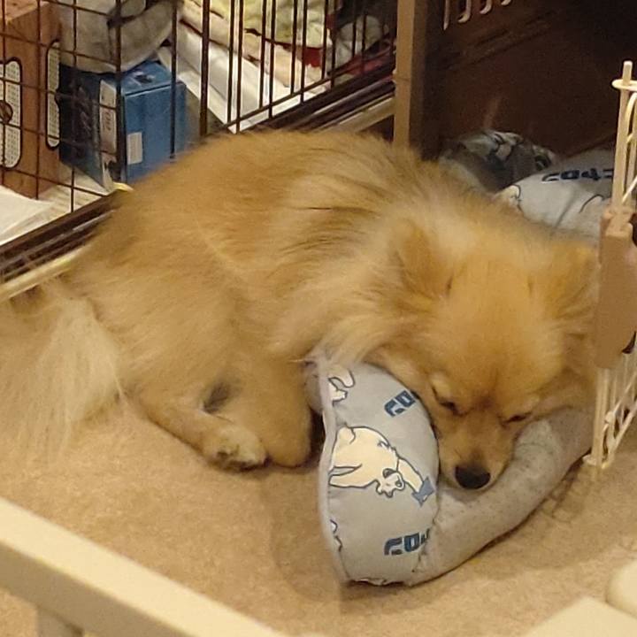 515f74e2 bd60 4c71 a2ca eac53b76cf07 1752976833035