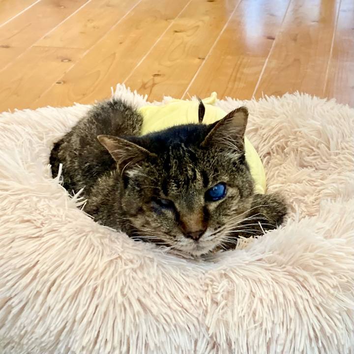 515fa784 1d61 4e26 9d66 89491d7ff588 1685233165005