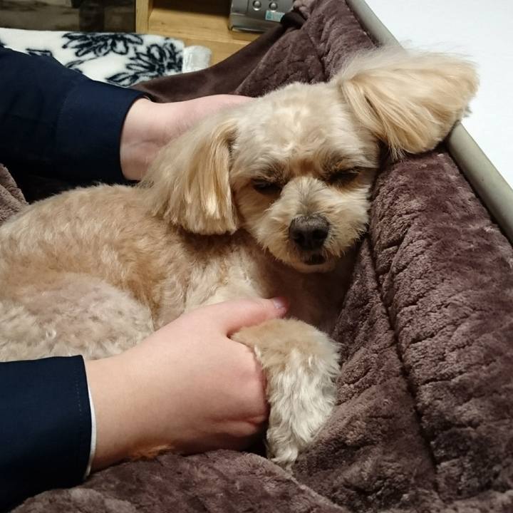 515fbfec ca8a 4f8a b57f 373344bf29ab 1607253381373