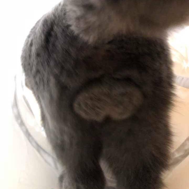 515fc55e 00f3 415d 8fe9 d40d09a9b81b 1644378040267