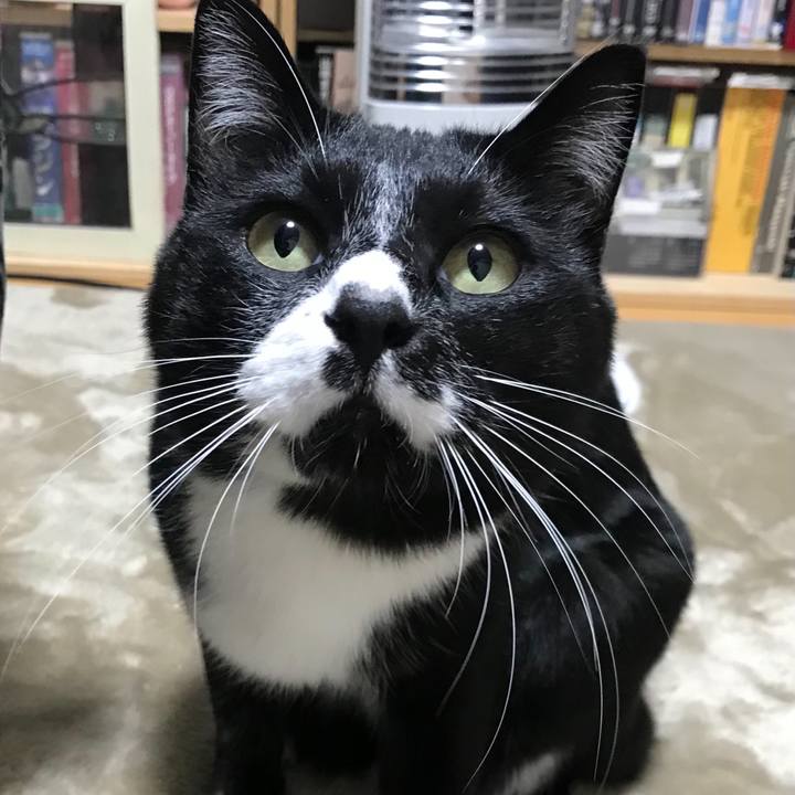 515fc5ac b67f 4e52 bd75 5a55235ffab1 1674531655423