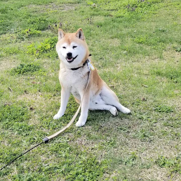 516024e1 5f15 4994 b290 3943547cbd83 1651557668018