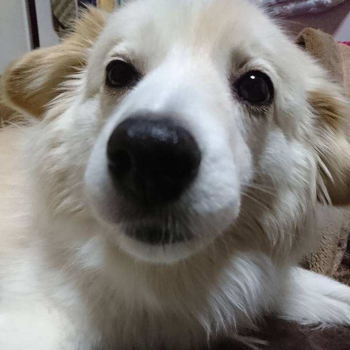 516072e8 7017 4f3f baee 43e56acf4960 1522701768451