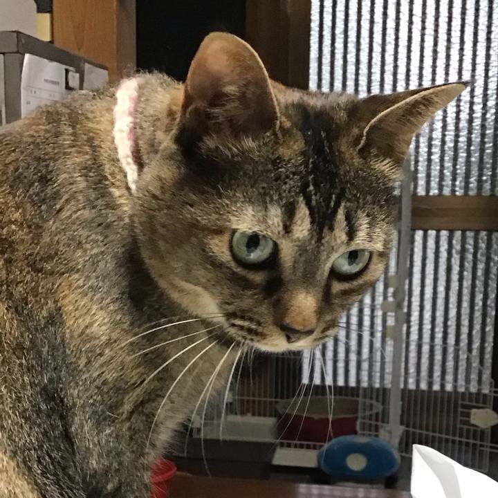 51607b3b bc58 44c1 a53c 6e9af0b51bfe 1716892976705