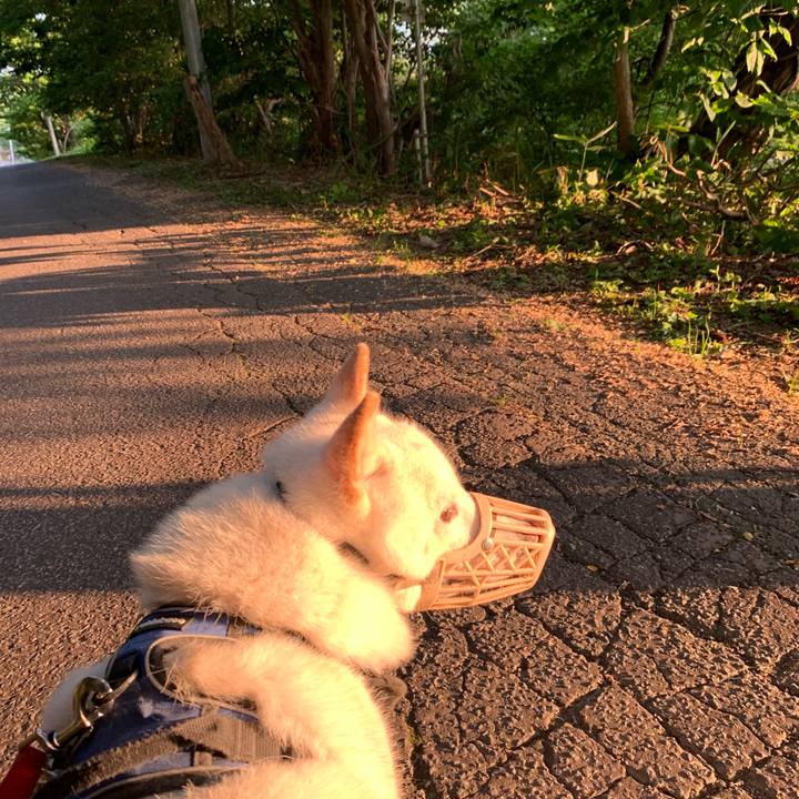 51609485 4bc1 4435 b497 4f46e38a2565 1625086288754