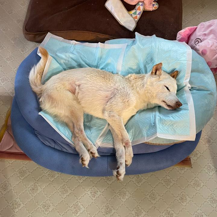 5160b608 3e4e 4134 98a8 4fe93829b77c 1679128171786