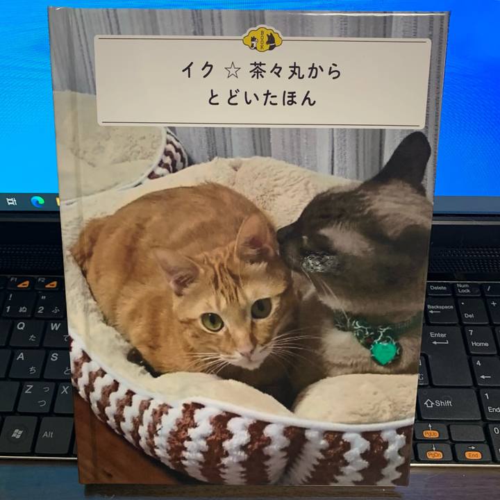 5160ff64 dbdc 4229 84a3 df788ff78f91 1614202986004