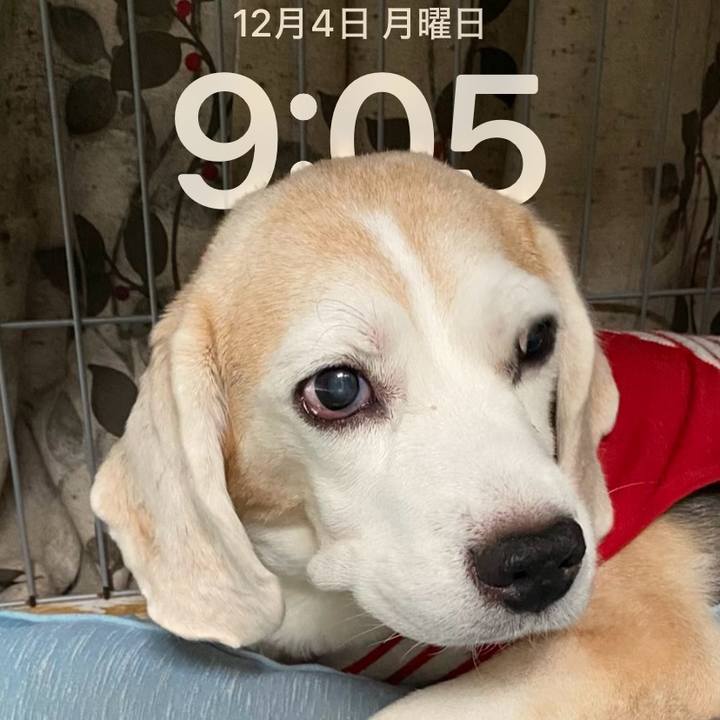 51613413 d445 438e 839b 25af6fd7f2ba 1701648427086