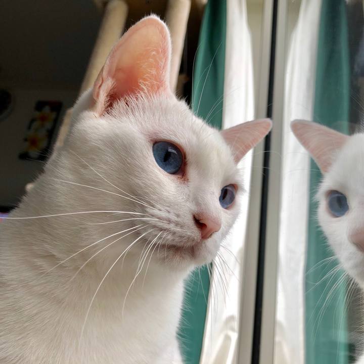 5161a1d1 7793 4c7a b978 39468c4fb9e9 1538280228905