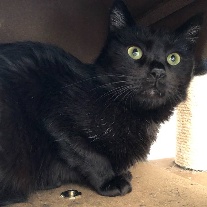 5161e243 27e6 4cd9 a1bc a430de110db2 1589246388672