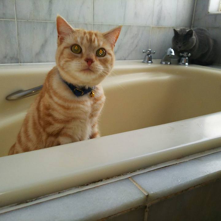 5161e577 efc4 4a12 9979 0767315857fc 1512982315916