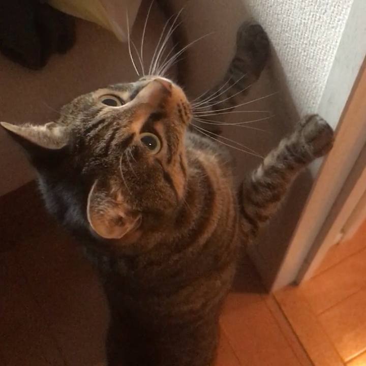 51622018 cae1 47c0 8982 ca40bc42f973 1550808878658