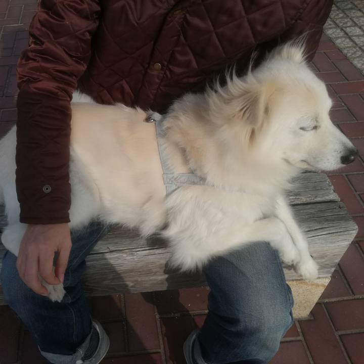 51622f9b 5052 46d7 9379 46718bdf4c87 1516444913785