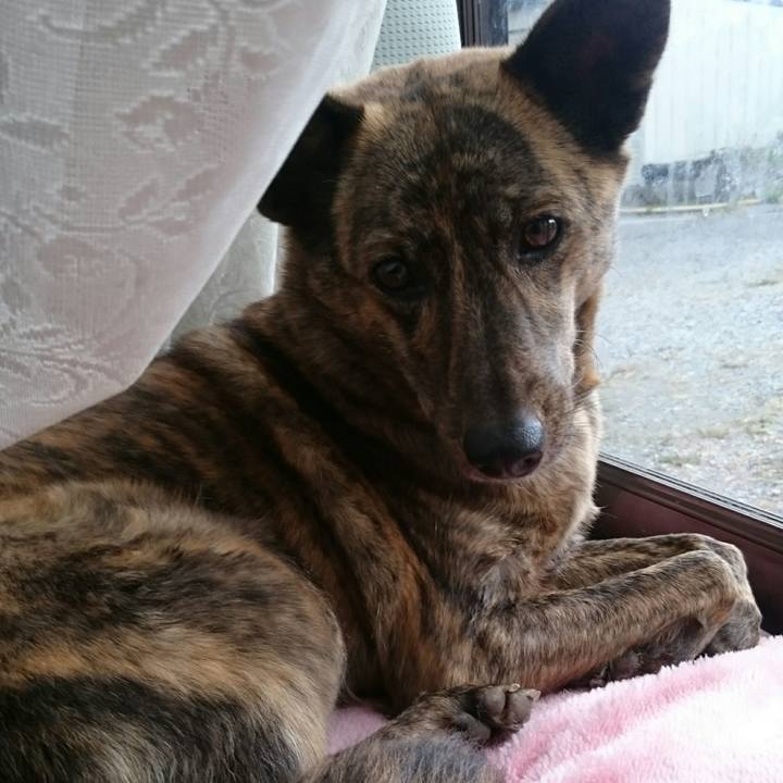 516253bf b550 4c35 a322 0b934a86d312 1510372508092