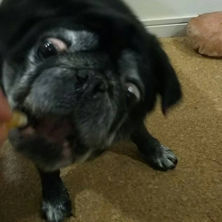 516256ed 8f89 4253 9ddf 1a73f2364a7e 1538315025710