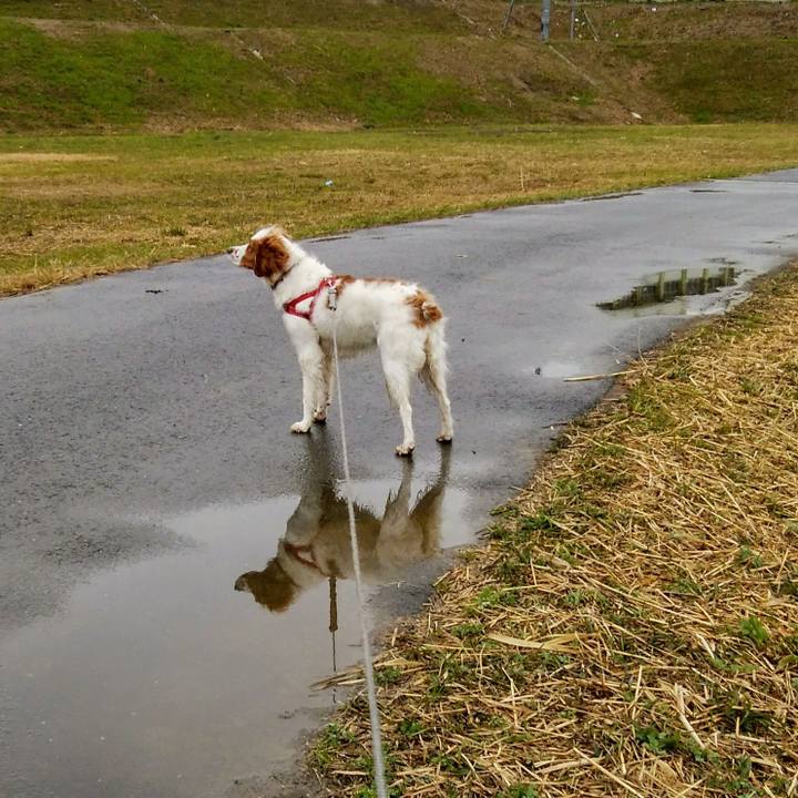 51628c26 a826 4516 9d10 59440b44989d 1552216016511