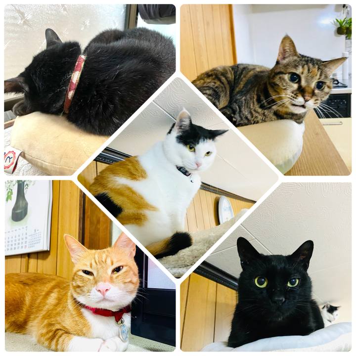 5162b1c2 61ca 4e34 8680 ca13cf8c5abf 1682721492585