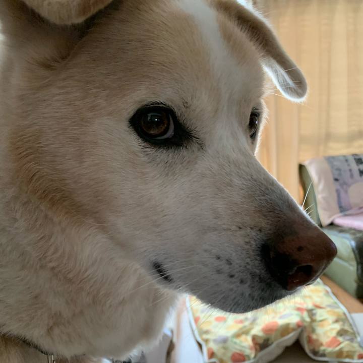 5162d342 f870 4ade a503 88a5ab519fb7 1642897946100