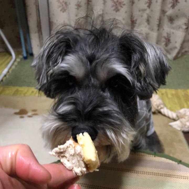 5163325a fe9b 4149 8f47 01cdb46f5605 1545488939807