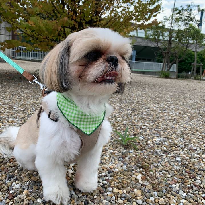 51635d86 7d4d 4558 950a 8510776e0aa5 1601701945357