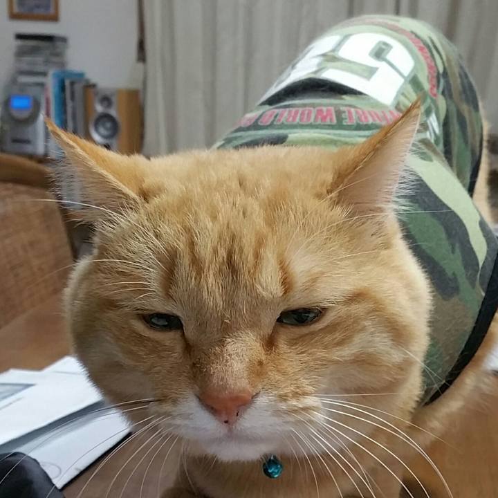 51638a14 48d0 48a3 8a03 8a77045ba6a1 1577612882277