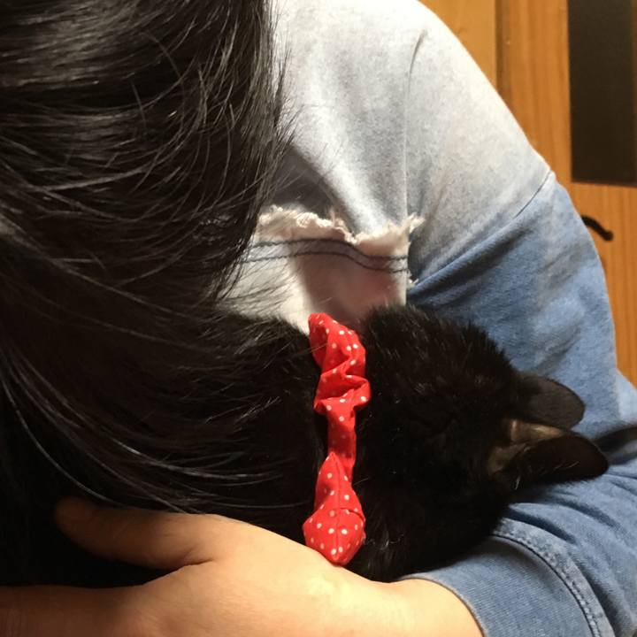 5163c774 4fd8 441a b73c 8f29fad2d492 1551530811012