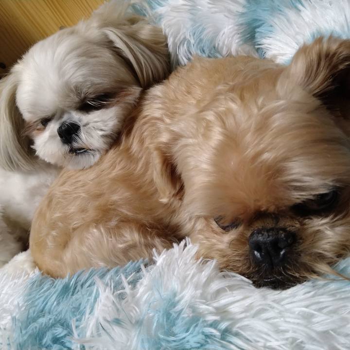 51641f90 3deb 4547 a7fb 5ce563206f02 1634775020571