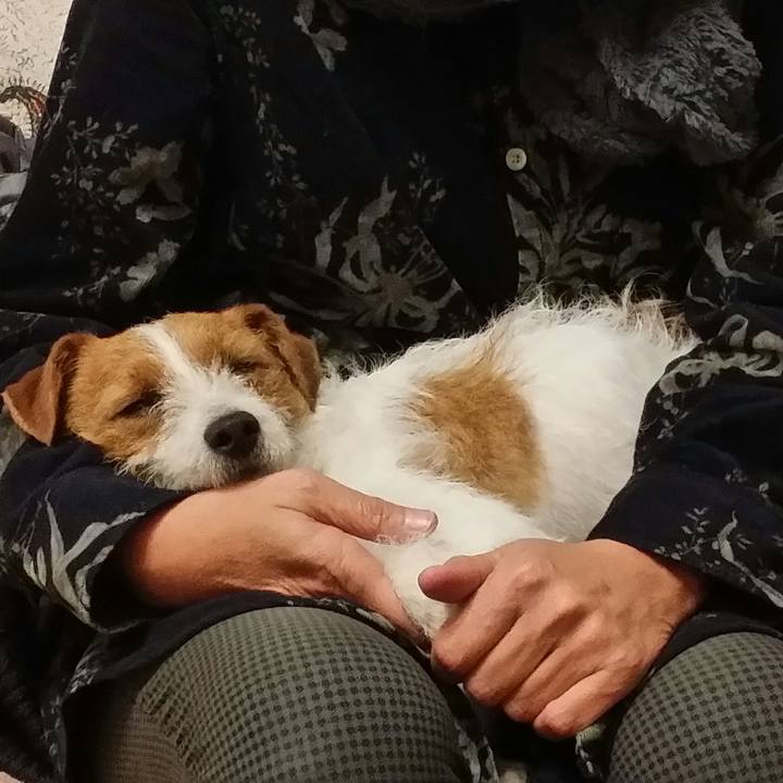 51643189 c98a 4fe2 b841 5674d15ddc81 1514801087576