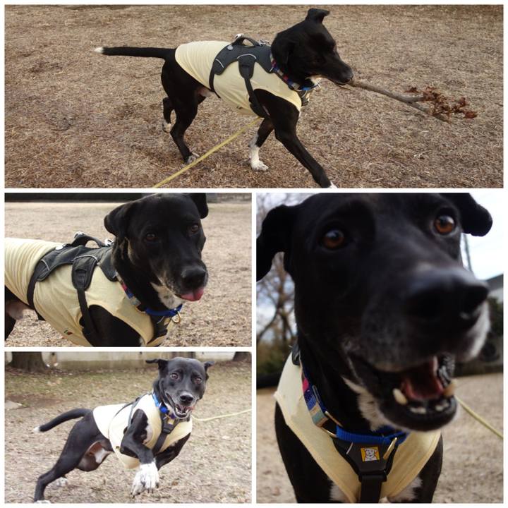 516448bf b063 4ecf 9da1 b73ca3eb9655 1643849075953