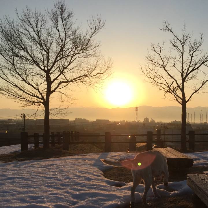 51648ee3 598f 4a4d b8c9 0717e8eb17fa 1580908077584