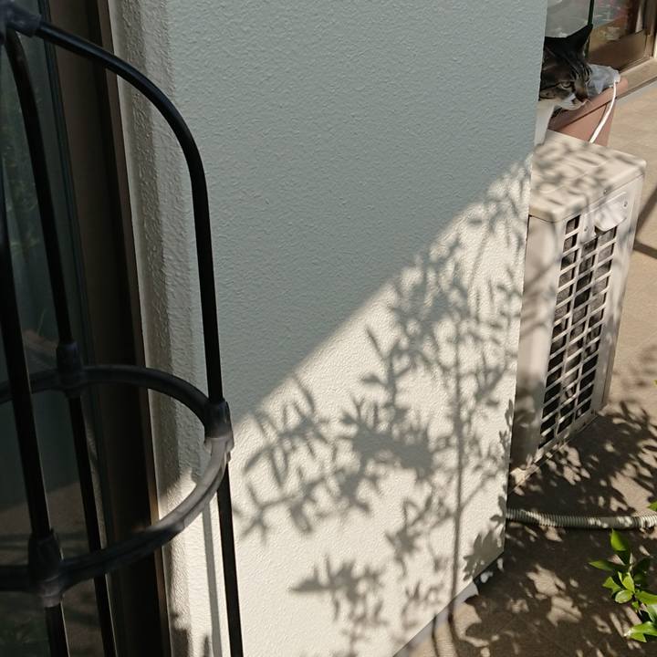 51649105 b11e 4c16 aba0 cd45438a5dcc 1520983939617