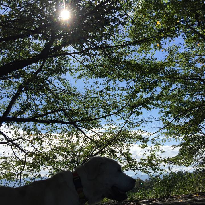 5164a623 a388 4635 b75d 807fed209471 1537929572299