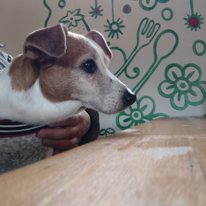 5164ab38 0032 4297 bfac d7830fdb9a34 1761994610484