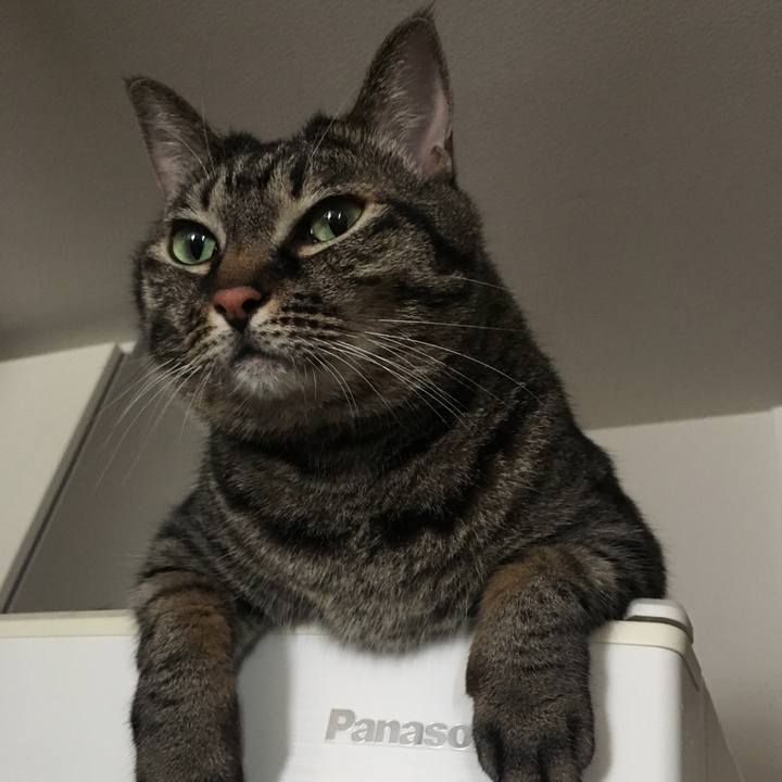 5164ca9c 5c23 4614 b8fe cf0c89e5e793 1567997604295