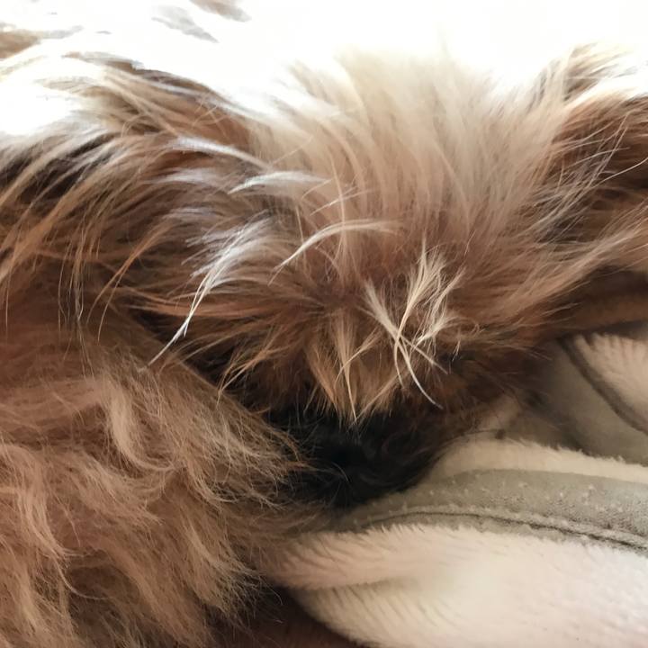 5164eeaa f7a3 429a 80e1 d4ba2f13f072 1544585289989