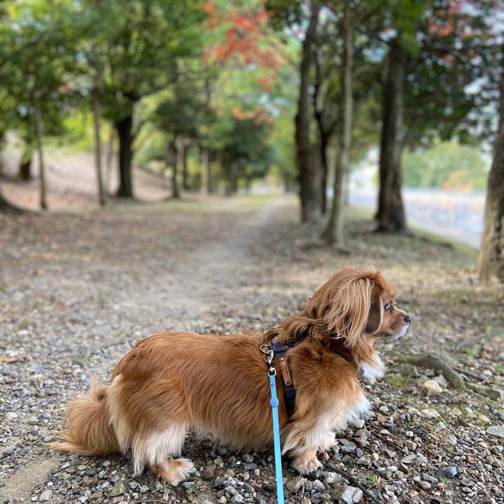 51650fa7 2036 4844 bc98 acb86589d1f9 1573953293978