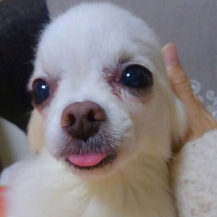 516514b5 04f8 4bda b46c d3692030cba2 1538566140579