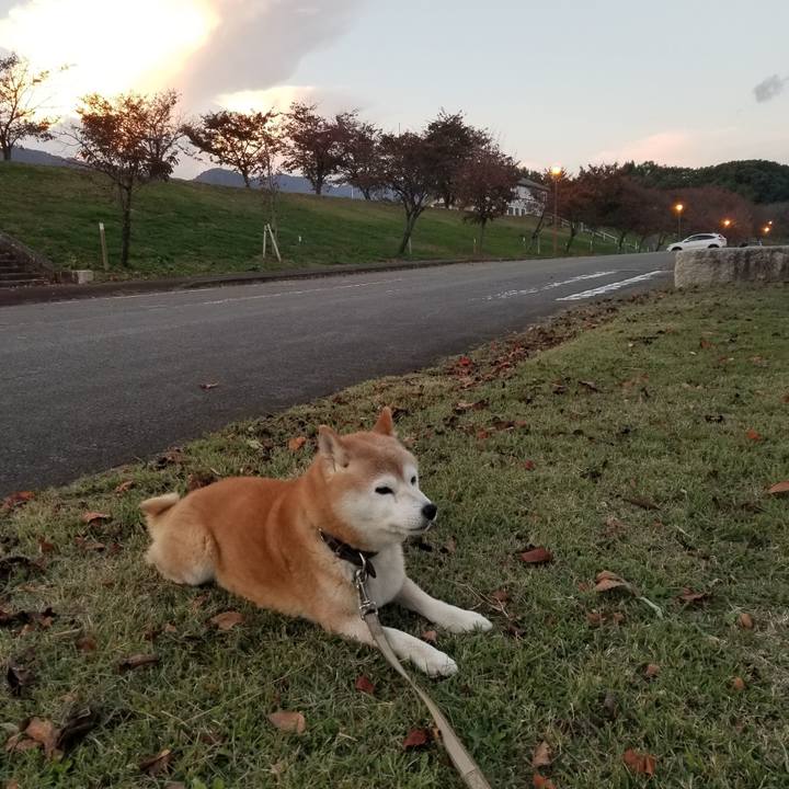 516534e5 914d 4b70 b445 1ea69448007c 1698220360442