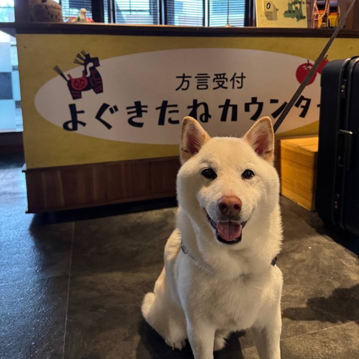 516570a6 85dc 4512 8c2b bb6289b7641b 1745482552898