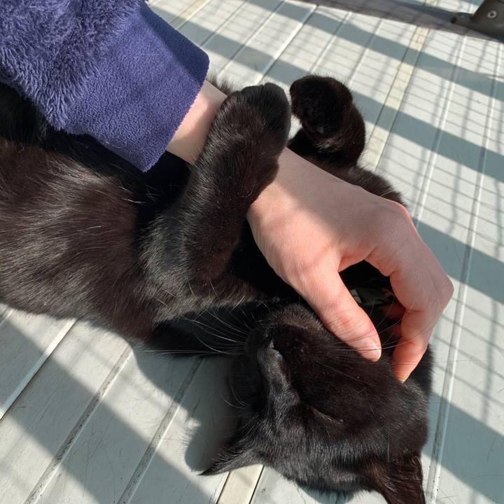 5165b2fb 4ec2 4054 89cf d271659c08d3 1548820421765