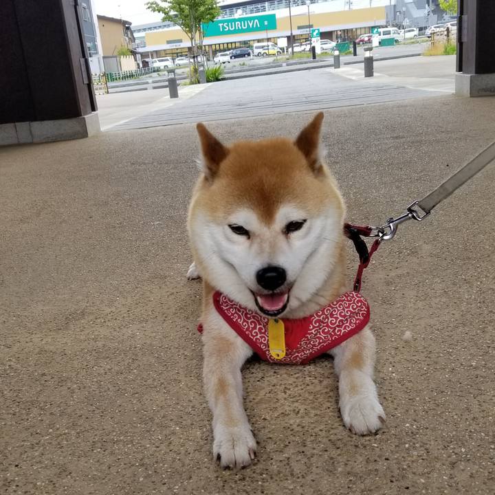 5165c9aa 83d4 4217 a293 fceaf11d24fd 1561621693269