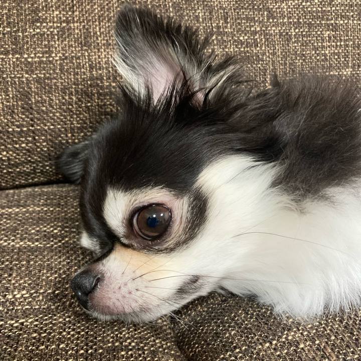 5165dd77 9086 4c45 b0d7 5f6aff69a605 1692543085523