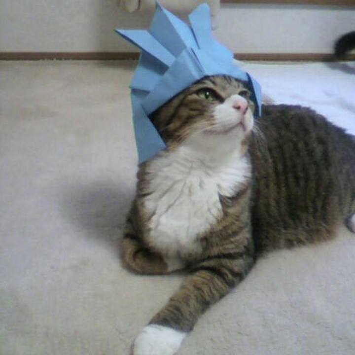 5165f083 9d9a 4162 be79 dc197170fd5b 1525579018489