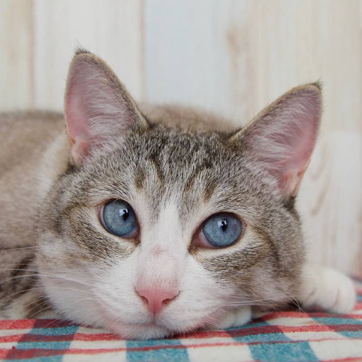 5166254e 0faa 4aba acbd c3b23a3737e6 1656041419449