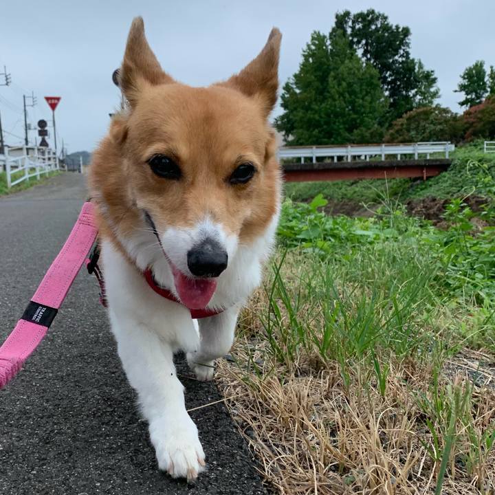 51664b98 c610 498e 8298 ac0c065a2779 1695265929367